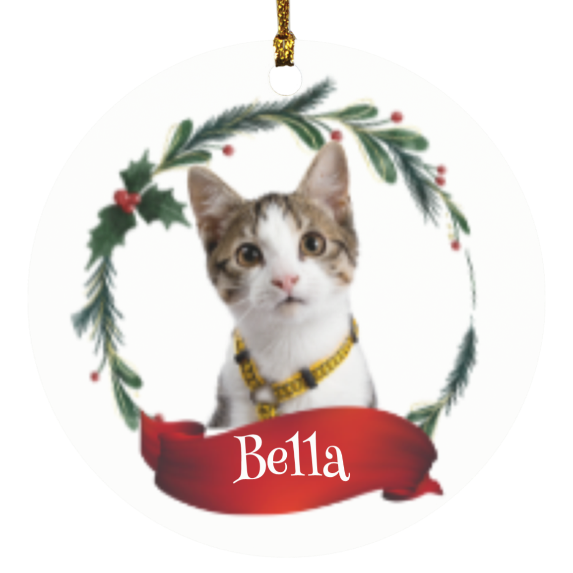 Personalized Pet Ornament, Custom Dog Christmas Ornament, Pet Memorial Ornament, Cat Christmas Photo Ornament, Pet Portrait Name Gift