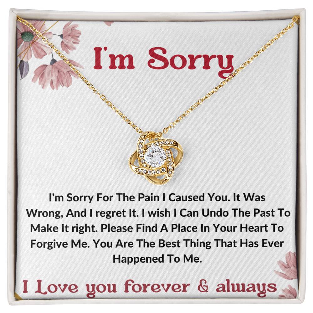 I am sorry wife partner gift necklace . apology gift for her