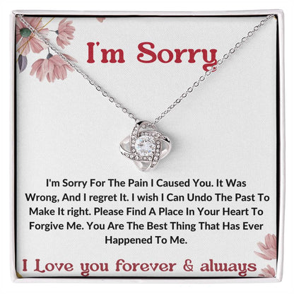 I am sorry wife partner gift necklace . apology gift for her