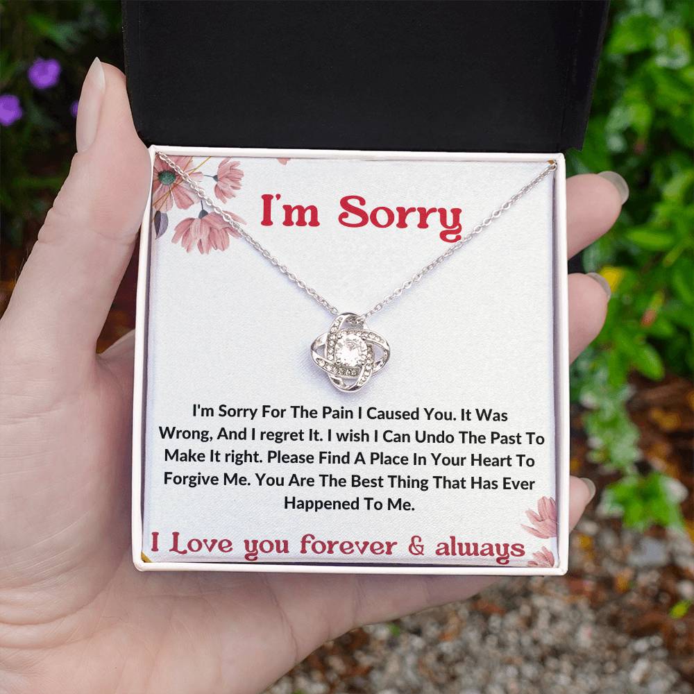 I am sorry wife partner gift necklace . apology gift for her