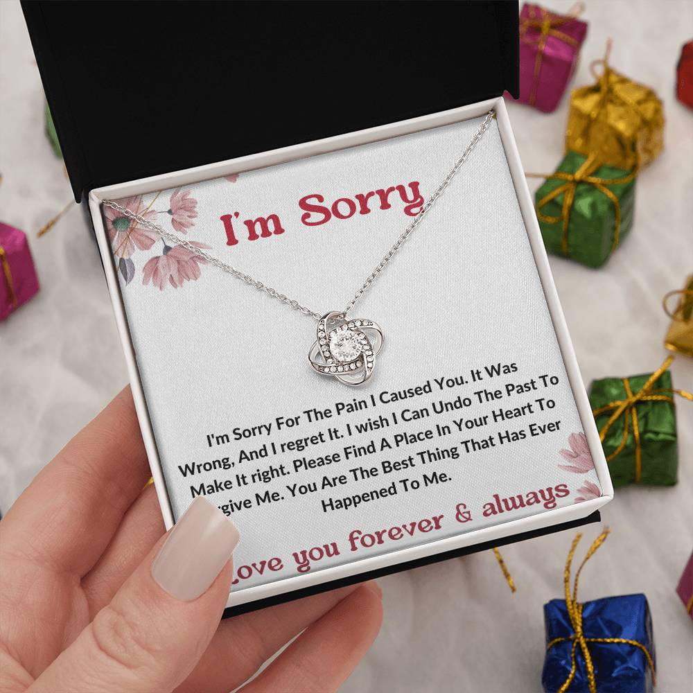 I am sorry wife partner gift necklace . apology gift for her