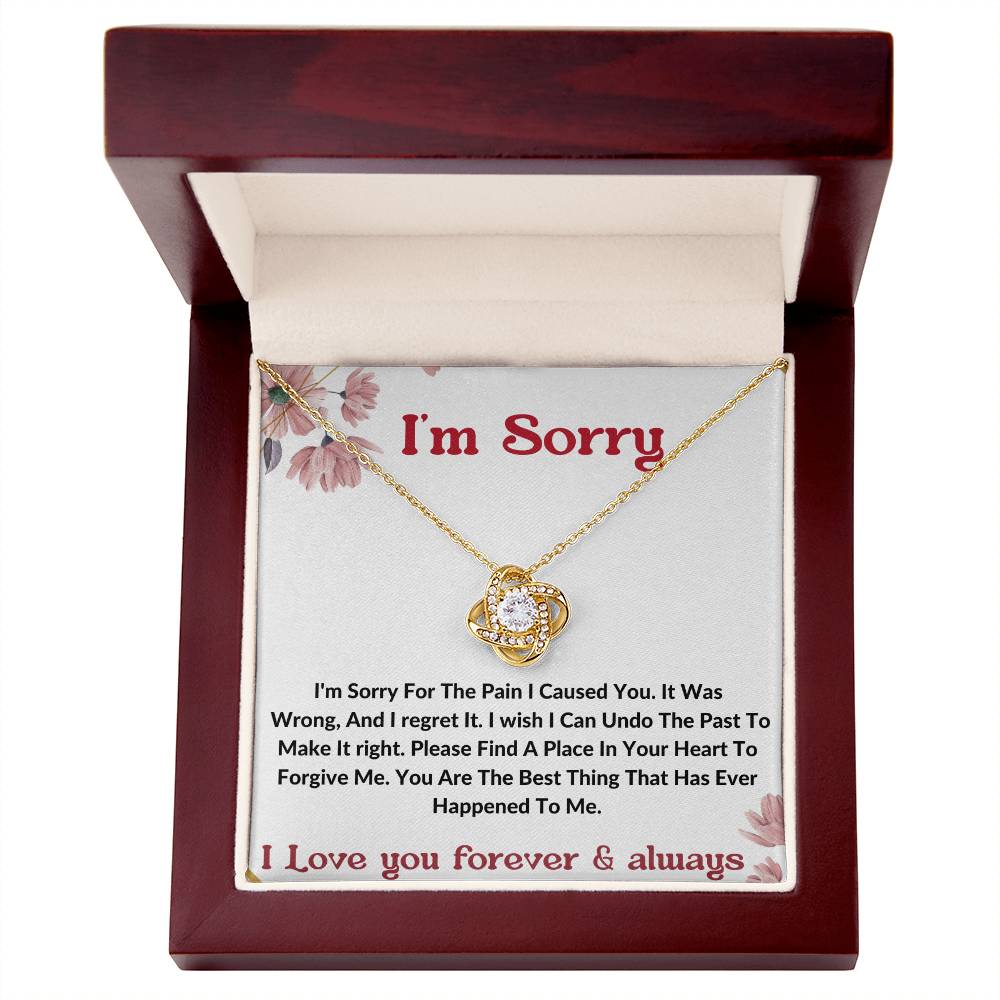 I am sorry wife partner gift necklace . apology gift for her