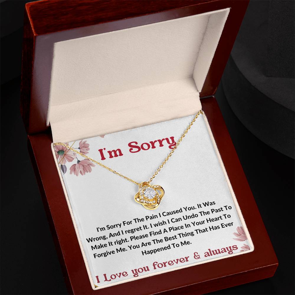 I am sorry wife partner gift necklace . apology gift for her