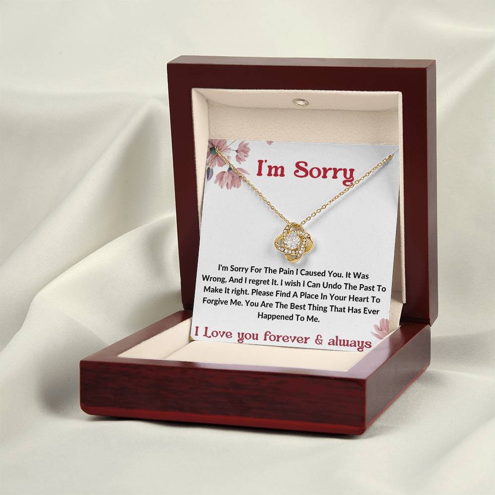 I am sorry wife partner gift necklace . apology gift for her