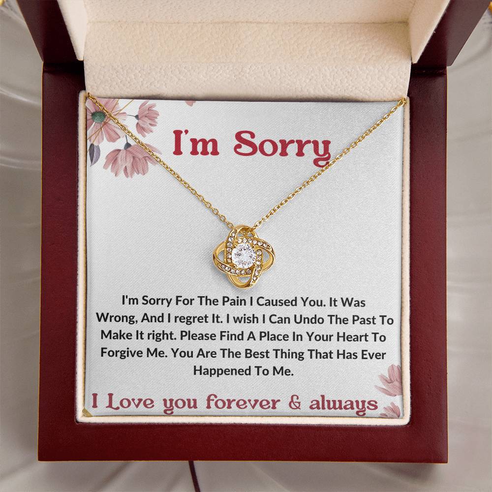 I am sorry wife partner gift necklace . apology gift for her