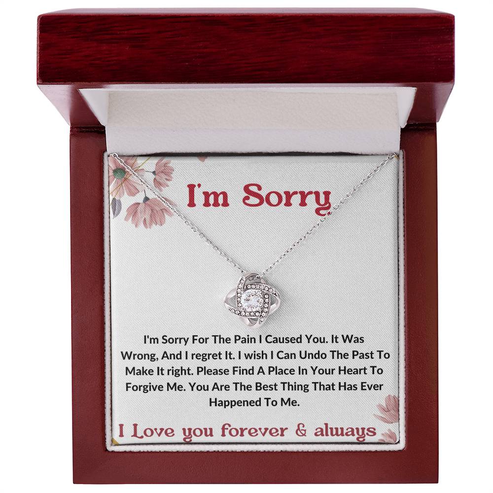 I am sorry wife partner gift necklace . apology gift for her